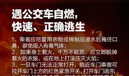 承德迟先生最新爆料,最新爆料背后的惊人真相